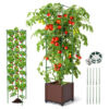 19 Tomato Planter Box with Adjust Plant