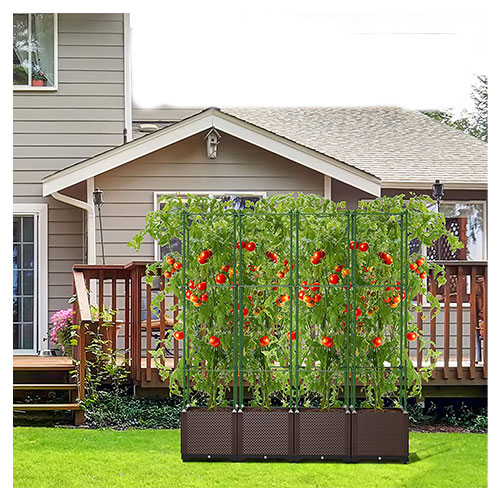 19-19 Tomato Planter Box with Adjust Plant
