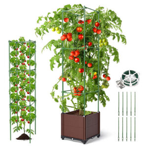 19 Tomato Planter Box with Adjust Plant