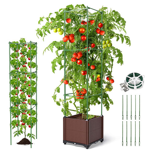 Tomato Planter Box with Adjust Plant