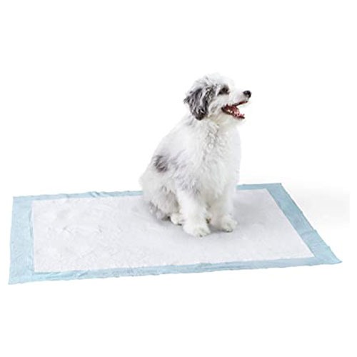 Dog and Puppy Pee Pads